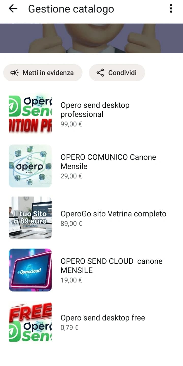 Catalogo web digitale aziendale servizio SaS canone mensile 4