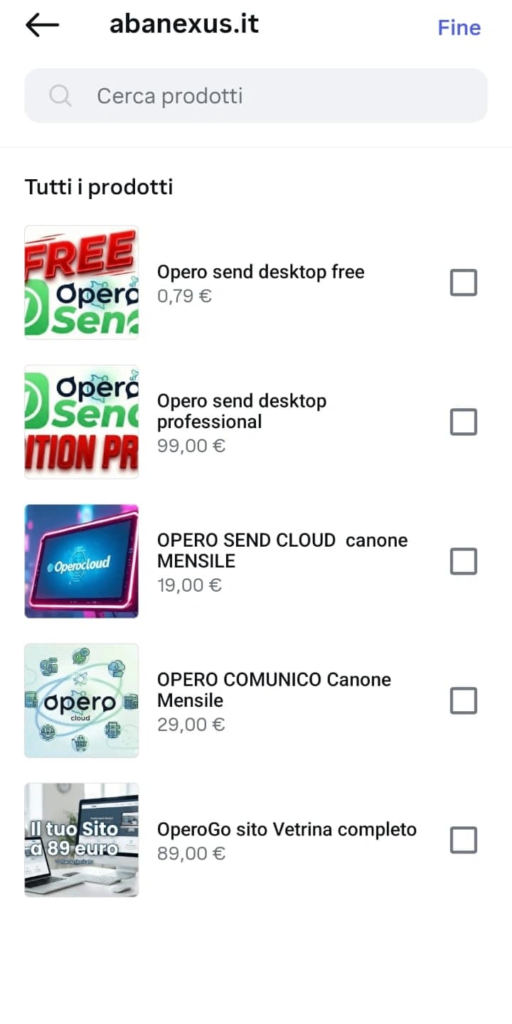 Catalogo web digitale aziendale servizio SaS canone mensile 5